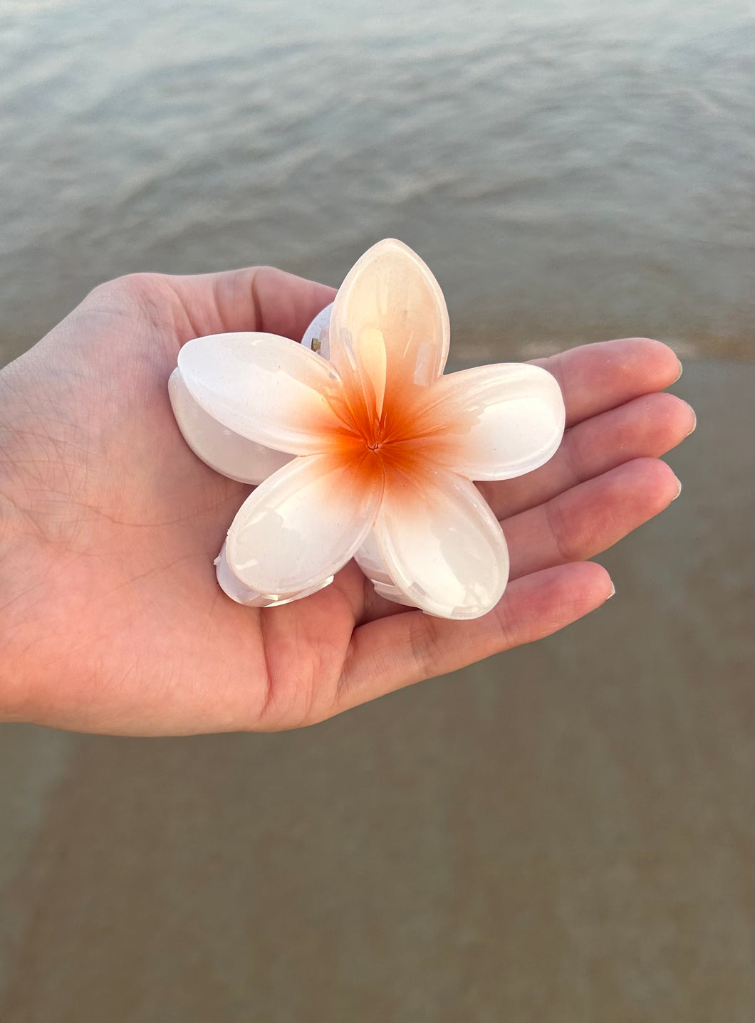 Pince fleur tropicale blanc et orange
