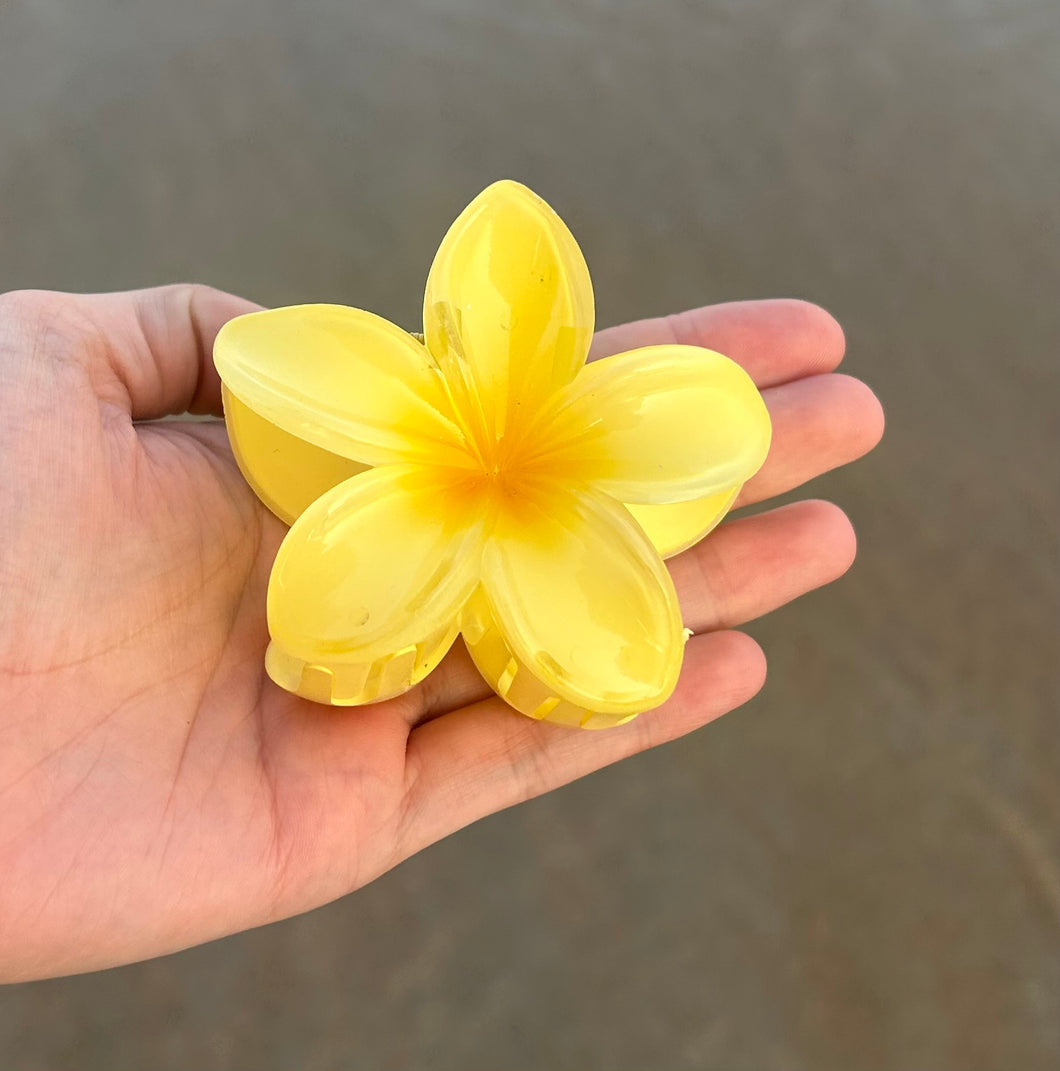 Pince fleur tropicale jaune