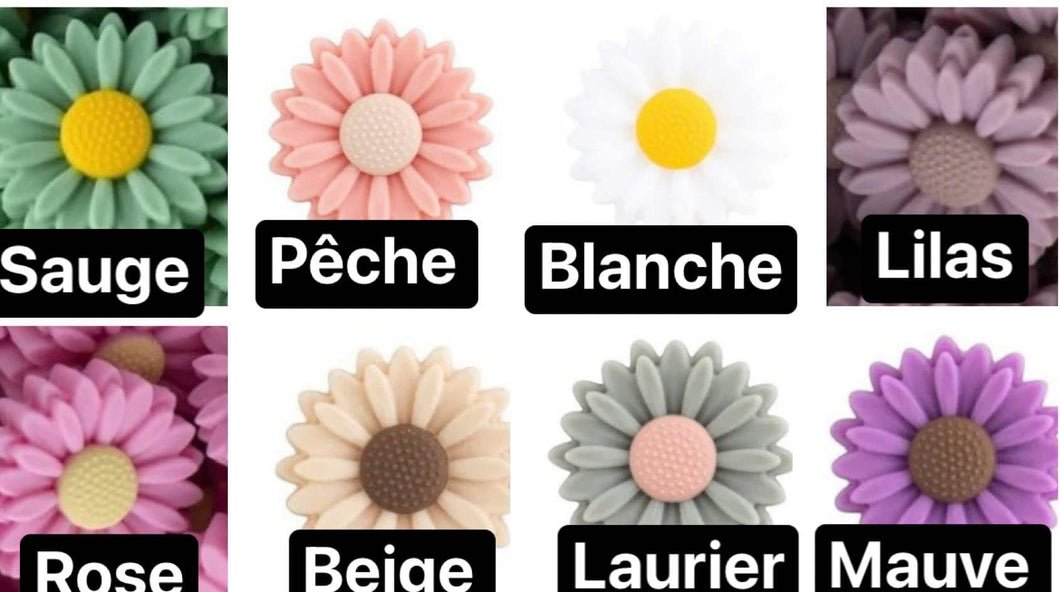 Identificateurs marguerite